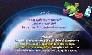 Ngày Quốc tế bảo vệ tầng ozone (16/9/2021): Làm mát thế giới, bảo quản thực phẩm và vaccine
