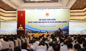 Phó Thủ tướng Trịnh Đình Dũng: Cần phải xây dựng nền nông nghiệp thông minh hiện đại
