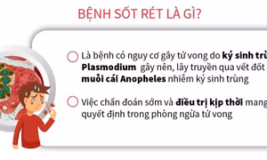 Ngày Thế giới phòng chống sốt rét 25/4: Những câu hỏi về bệnh sốt rét