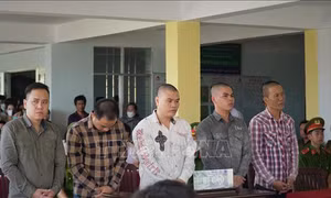 Phạt tù nhóm đối tượng 'cướp tài sản' trên biển