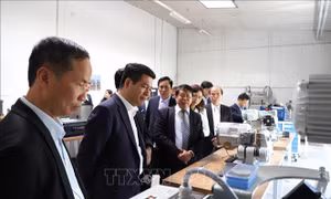 Thu hút doanh nghiệp Đức đầu tư vào tỉnh Thái Bình