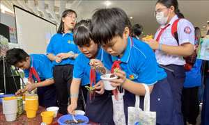 Phát huy phong trào thi đua thực hiện 5 điều Bác Hồ dạy