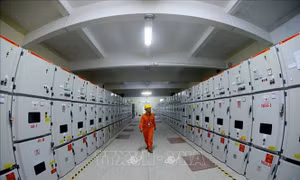 Phó Thủ tướng Trịnh Đình Dũng: EVN đã thực hiện tốt nhiệm vụ đảm bảo điện cho phát triển KT-XH
