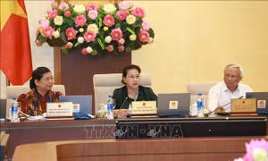 Cần thảo luận về tình trạng xâm hại trẻ em, sử dụng rượu bia lái xe gây tai nạn tại Kỳ họp thứ 7 của Quốc hội
