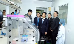 Trung tâm Giám định ADN hài cốt liệt sỹ chính thức đi vào hoạt động