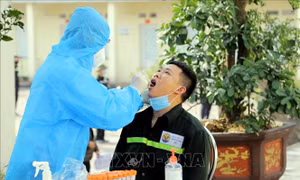 11/16 mẫu bệnh phẩm tại Hải Dương, Quảng Ninh có trình tự gen giống chủng virus biến thể ở Anh