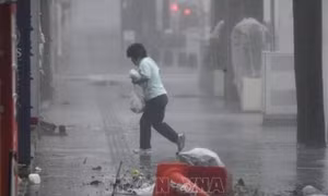 Sức gió mạnh kỷ lục, bão Trami 'càn quét', gây thiệt hại lớn ở Tokyo, Nhật Bản 