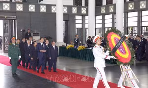 Đoàn Văn phòng Tổng Bí thư viếng Tổng Bí thư Nguyễn Phú Trọng
