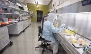Bộ Quốc phòng Iran sản xuất hàng loạt bộ xét nghiệm virus SARS-CoV-2