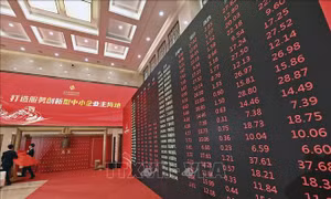 Tin tốt giúp giá cổ phiếu của nhà bán lẻ trực tuyến lớn của Trung Quốc tăng 16%