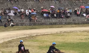 Vó ngựa cao nguyên trắng