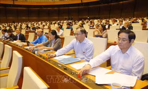 Thông qua Luật về lao động Việt Nam đi làm việc ở nước ngoài