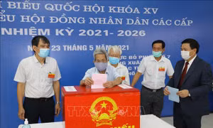Hàng triệu cử tri Hà Nội tươi vui, phấn khởi đi bỏ phiếu 