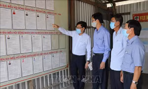 Gần 611.800 cử tri Bạc Liêu tham gia bầu cử trong Ngày hội non sông