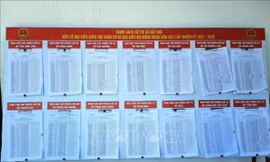 Đất Mũi Cà Mau rộn ràng trong Ngày hội non sông