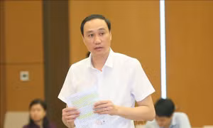 Đa dạng hóa phương thức tập hợp cộng đồng người Việt ở nước ngoài