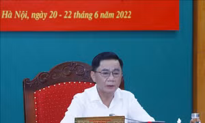 Cảnh cáo Ban Thường vụ Đảng ủy Tập đoàn Công nghiệp Than - Khoáng sản Việt Nam các nhiệm kỳ 2015-2020, 2020-2025
