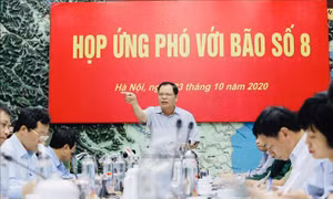 Ứng phó bão số 8 và khắc phục hậu quả mưa lũ miền Trung