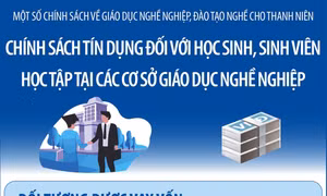 Một số chính sách về giáo dục nghề nghiệp, đào tạo nghề cho thanh niên