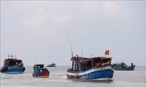 Khắc phục 'thẻ vàng' IUU: Nỗ lực đồng lòng giữa các địa phương