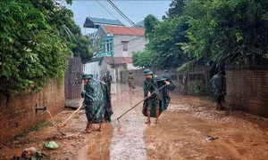 Bắc Giang tập trung ứng phó với nguy cơ về đê điều và hồ đập
