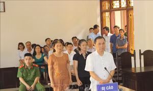 Xét xử vụ án làm trái quy định quản lý kinh tế gây hậu quả nghiêm trọng