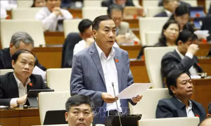 Còn nhiều ý kiến khác nhau về dự án Luật Lực lượng tham gia bảo vệ an ninh, trật tự ở cơ sở