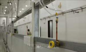 Đưa vào hoạt động Trung tâm Hồi sức tích cực điều trị COVID-19 tại Long An