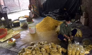 Trộn lưu huỳnh vào củ riềng xay nhỏ để bán
