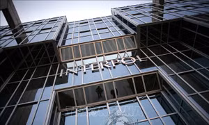 Cảnh sát Thái Lan xin lệnh bắt giữ của Interpol đối với tội phạm lừa đảo 200 triệu USD