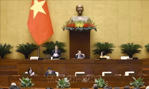 Thông cáo báo chí số 25, Kỳ họp thứ 7, Quốc hội khóa XV
