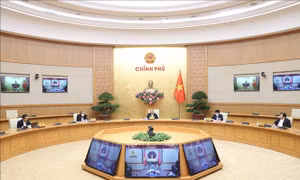 Thủ tướng: Xử lý nghiêm các trường hợp không thực hiện đúng quy định về cách ly xã hội  