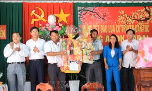 Đặc sắc Tết đầu lúa của đồng bào vùng cao Bình Thuận