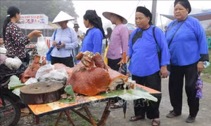 Du lịch Việt Nam: Khai mạc Liên hoan du lịch Mẫu Sơn năm 2020