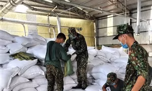 Triển khai xuất cấp hơn 8.360 tấn gạo cho Bình Dương