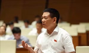 Xây dựng cơ sở dữ liệu về tài sản công để quản lý hiệu quả hơn