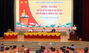 Cử tri kiến nghị thiết kế chương trình dạy học trực tuyến phù hợp từng cấp học