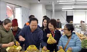 Tưng bừng Ngày Nhãn tươi Việt Nam tại Australia