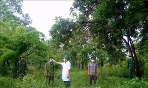 Phát hiện 2 đối tượng vi phạm quy chế về khu vực biên giới