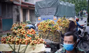 Tổng cục Quản lý thị trường triển khai kế hoạch hỗ trợ tiêu thụ nông sản