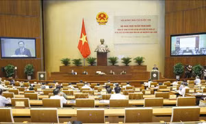 Chủ tịch Quốc hội chủ trì Hội nghị toàn quốc tổng kết công tác bầu cử
