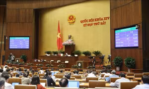 Nghị quyết của Quốc hội về Chương trình xây dựng luật, pháp lệnh năm 2020