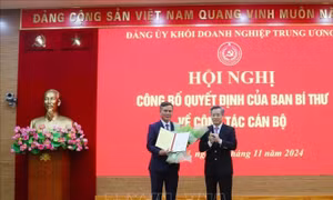 Đồng chí Trần Thắng giữ chức Phó Bí thư Đảng ủy Khối Doanh nghiệp Trung ương