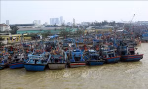 Tin nổi bật ngày 13/11