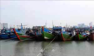 Đà Nẵng sơ tán dân ở khu vực nguy hiểm đến nơi an toàn