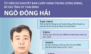 Ủy viên dự khuyết BCH Trung ương Đảng, Bí thư Tỉnh ủy Thái Bình Ngô Đông Hải