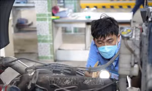 Từ chối đăng kiểm phương tiện vi phạm nhưng không nộp phạt nguội