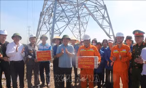 Kiểm tra, đôn đốc tiến độ công trình Đường dây 500 kV mạch 3 qua Nghệ An