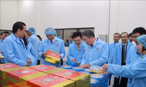 Khánh thành Nhà máy chế biến nguyên liệu yến sào Sanvinest Khánh Hòa