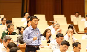 Cân nhắc thận trọng các tình tiết giảm nhẹ đối với Nguyễn Hữu Linh